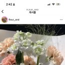 플레르앤드 이미지