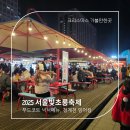 서울빛초롱축제 2025 잉어킹 겨울 야간데이트