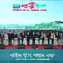 초록연꽃 이미지