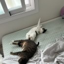 주식회사 영우 | SoSo한 일상