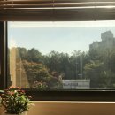 감골공원안길 이미지