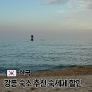 오솔채 | 강릉 숙소 추천 숙박 세일 페스타 할인 오션뷰 풀빌라 추천