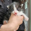 강동구보건소 화장실 | 강동구 산후도우미 관리사 업체 예약 및 비교(솔직후기 / 사회서비스 전자바우처)