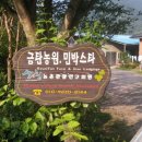 금탄민박 이미지