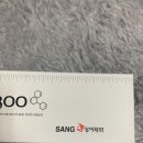 상아화장품 이미지