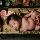 어화둥둥 내강아지 이미지