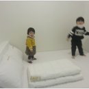 성빈인테리어 이미지