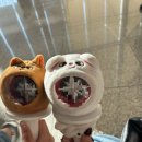 스테이 사녹 | 근황) 가요대제전 사녹 후기❤️(n번, 5n번),,