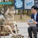 (유)베스트관광
