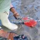 자연밸리 관광농원 | 우리 가족이 선택한 여름휴가 코스 3곳 솔직 후기