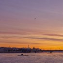 주식회사신대한 이미지