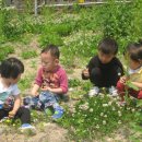 주상초등학교 이미지