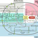 Re:Hallmarks of Cancer: The Next Generation 이미지