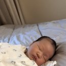 더 아이리스 산후조리원 이미지