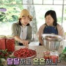 보리수농장 이미지