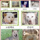 금광2 이미지