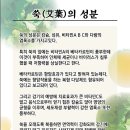 에덴쑥훈증테라피 이미지