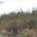 황산면 옥동리 ~ 황산면 옥동리 이미지