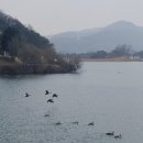 덕산저수지 이미지