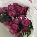늘숲꽃집