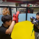 동양체육관 이미지