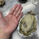 태화물산 이미지