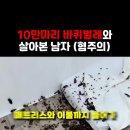 바퀴벌레 10만마리와 하루살면 1300만원 혐주의 이미지