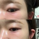 [화장품 리뷰] 더샘 에코 소울 파워프루프 탱크라이너 02브라운ㅣ쿠팡 붓펜 아이라이너