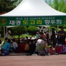 비금향