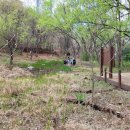 (주)나비원 이미지