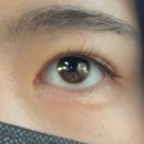 올리래쉬