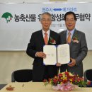 (주)메가마트 이미지