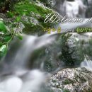 숲속다람쥐펜션 이미지