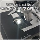 감포초등학교 티스토리