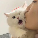 뽀뽀로야 이미지