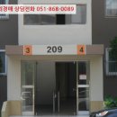 하단동233 이미지