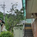 오들개민박 이미지