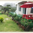 조수리엔 이미지