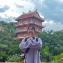 BI-MART | 🇻🇳다낭 3일차/미꽝 첫 도전/롯데마트/남슨 사찰