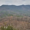 선산대로-33 이미지