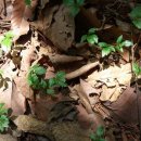 방글농장 이미지