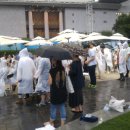 얍 얍 얍 이미지