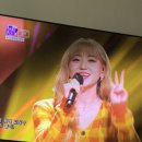 개예쁨 이미지