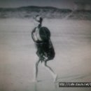 대천해수욕장 해녀사진(大川海水浴場 海女寫鎭) 소라를 채집하는 해녀 (1956년) 이미지