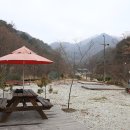 푸른계곡관광농원 티스토리