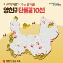 양천 이미지