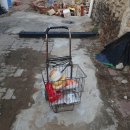 대구이용소 이미지