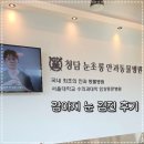 대학동물병원 | 강아지 눈검진 받으러 청담 눈초롱 안과동물병원 다녀온 후기