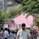 분홍집 이미지