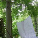 진용목장 이미지